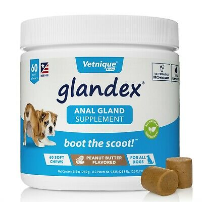 Glandex® Soft Chews Anal Gland Fiber & Probiotic Supplement For Dogs, 60 Chews