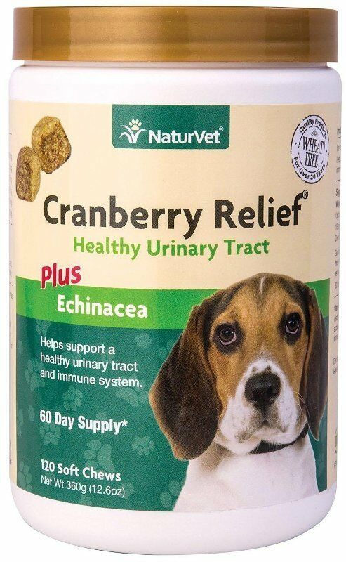 Cranberry Relief Echinacea Naturvet Soft Chew Support Urinary Tract Dog 120 Ct