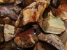 1000 Carat Lots Of Unsearched Petrified Wood + A Free Faceted Gemstone