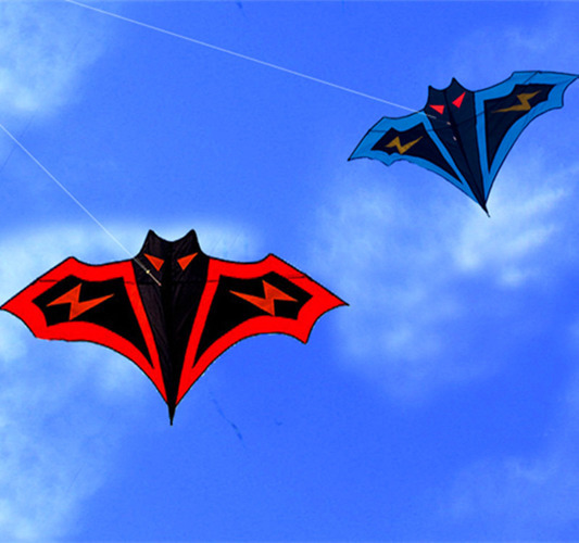 Big Bat Kite Flying Toy Children's Kite Reel Sports Beach Kite Wireless
