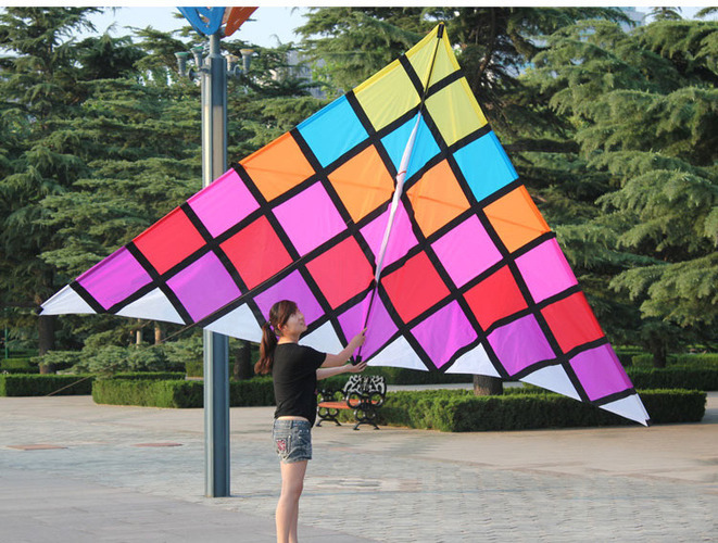 Outdoor Fun Sports Professional 2.5m Adult Large  Tear-proof Kite 2021